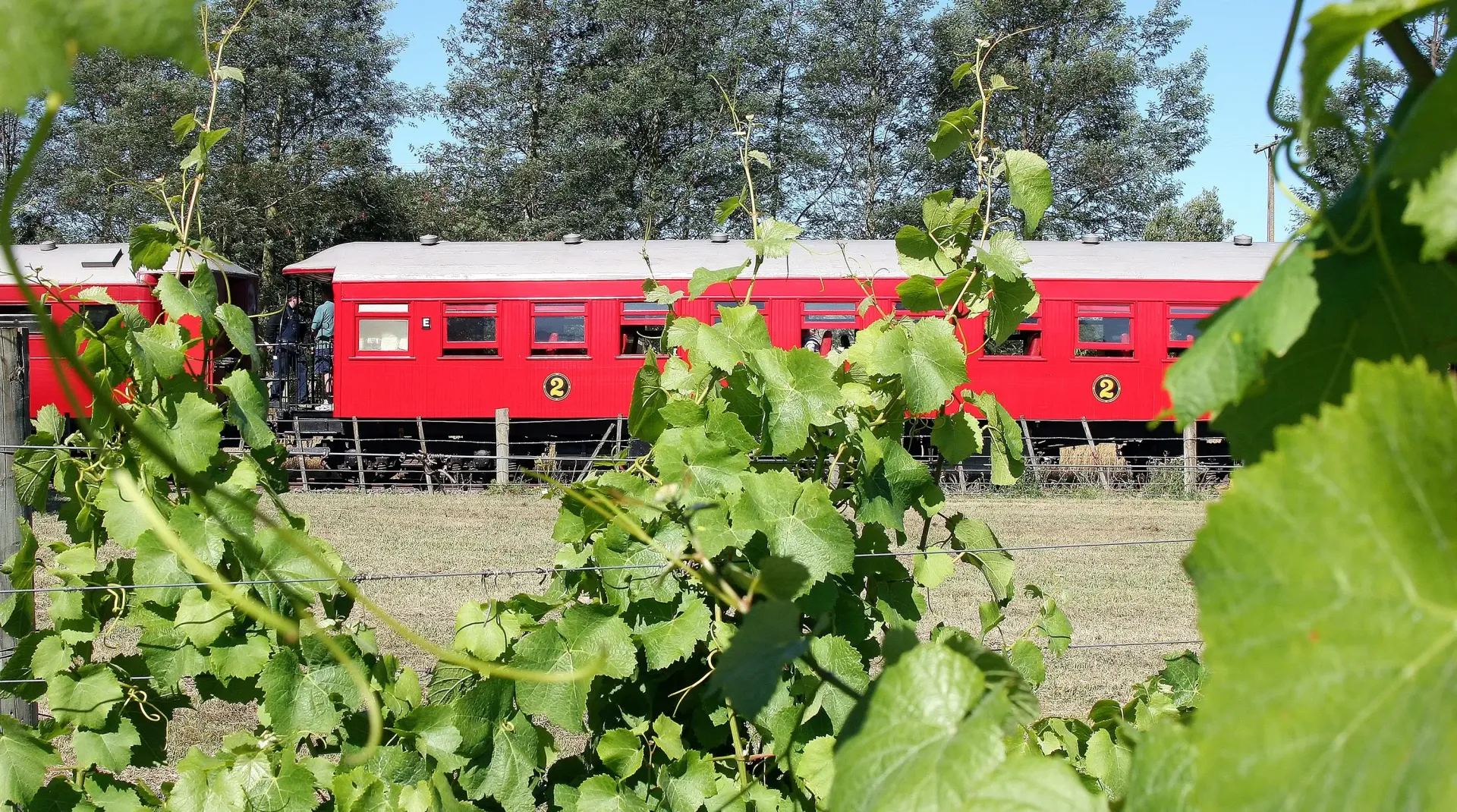 The Whale Train experience that Journeys from Christchurch through Kaikoura and back to Christchurch