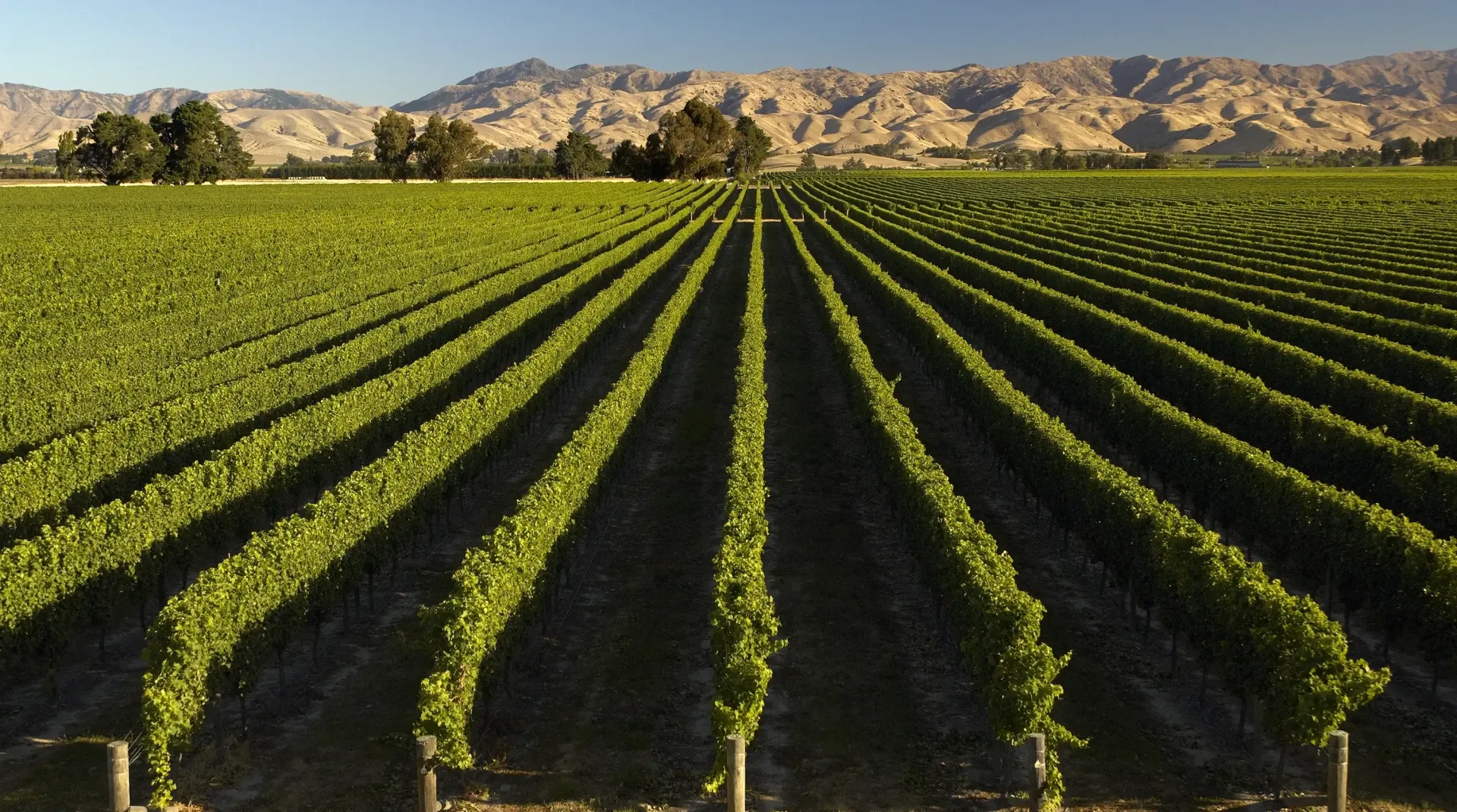 The Whale Train experience that Journeys from Marlborough through Kaikoura to Christchurch