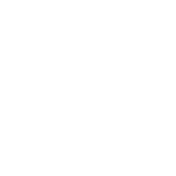 The Whale Train Logo in White - Heritage Steam Train journey New Zealand
