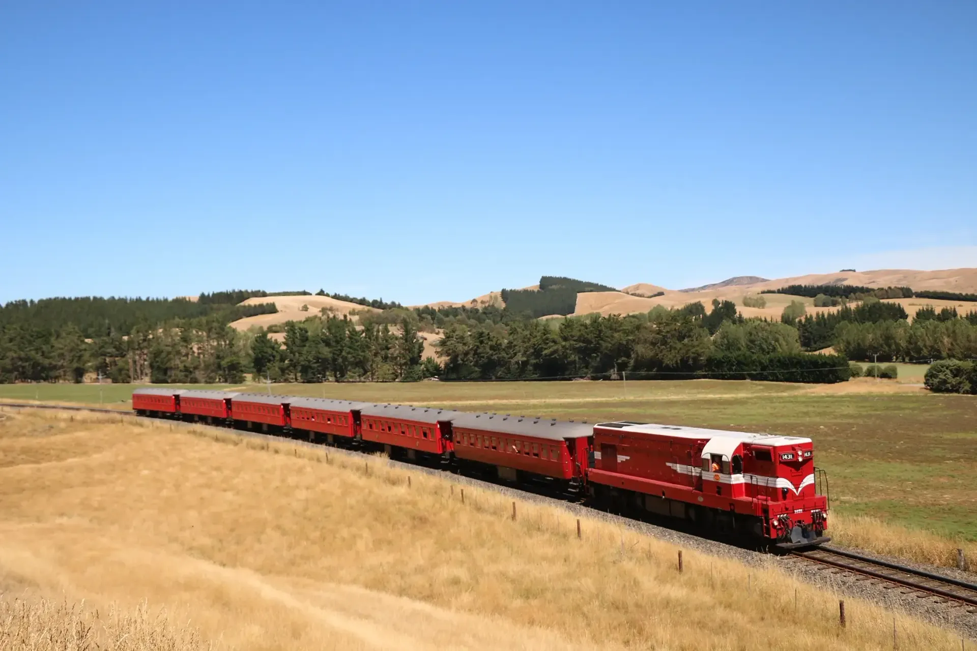 The Whale Train experience that Journeys from Marlborough Christchurch to Kaikoura in the south island of New Zealand