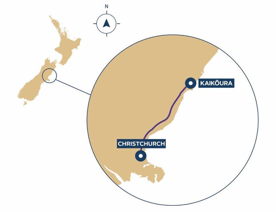 Experience the scenic views on the Whale Train