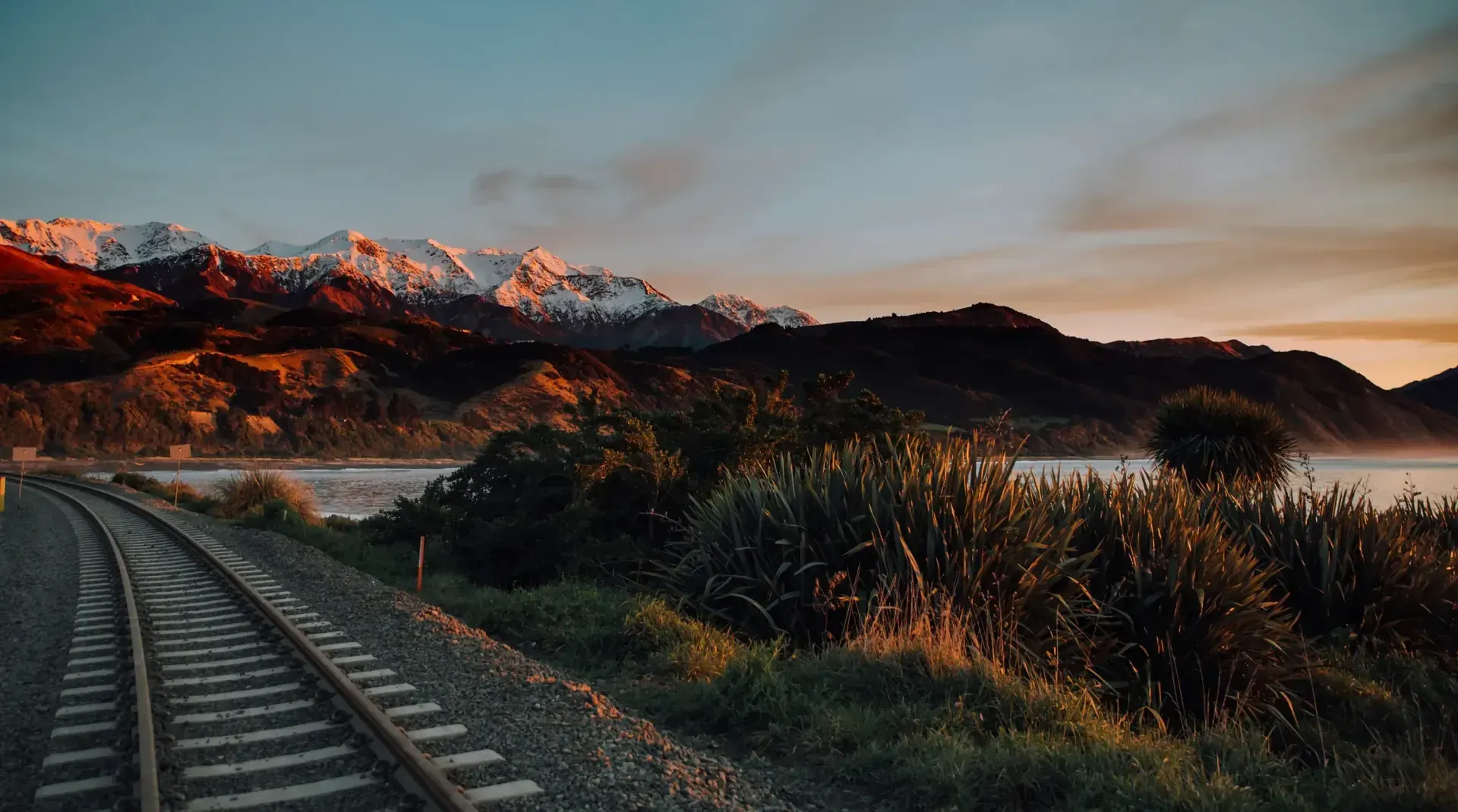 The Whale Train experience that Journeys from Christchurch through Kaikoura and back to Christchurch