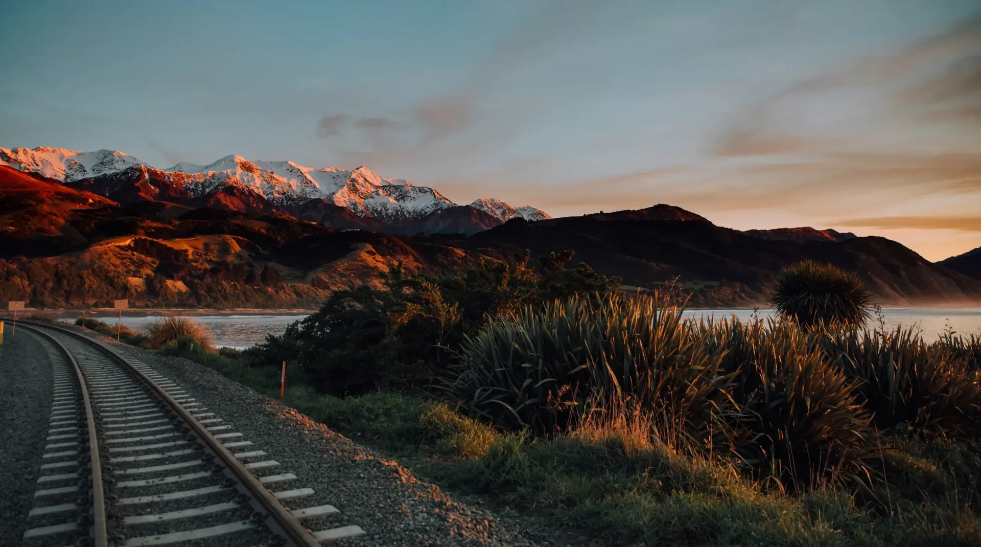 The Whale Train experience that Journeys from Marlborough through Kaikoura to Christchurch