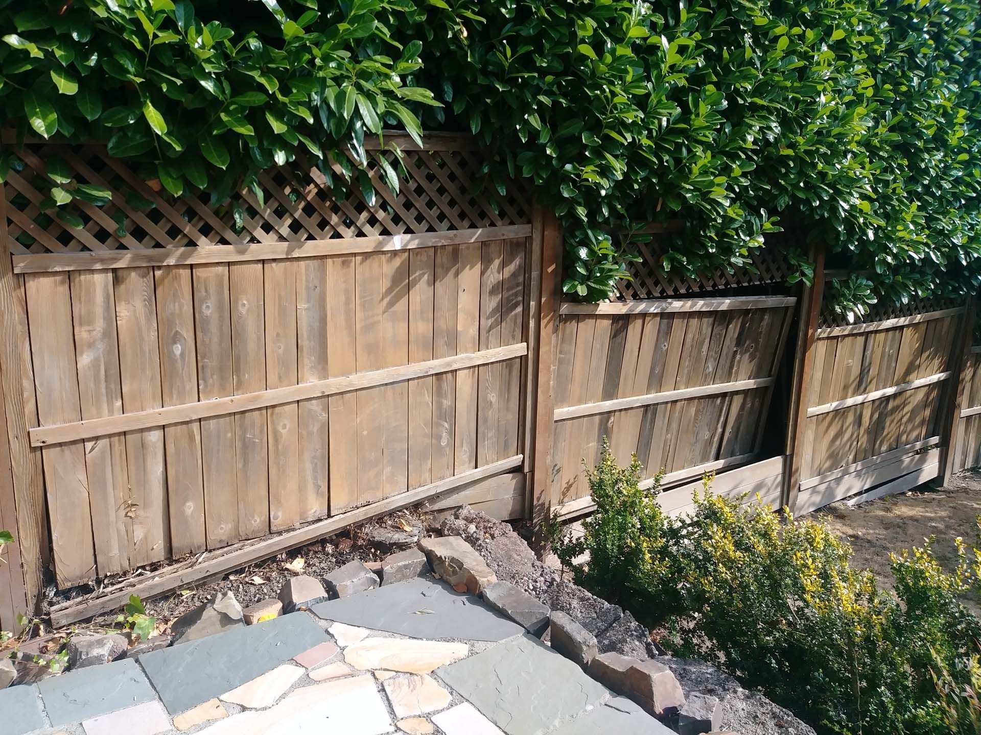 A wooden fence is surrounded by a lush green hedge.