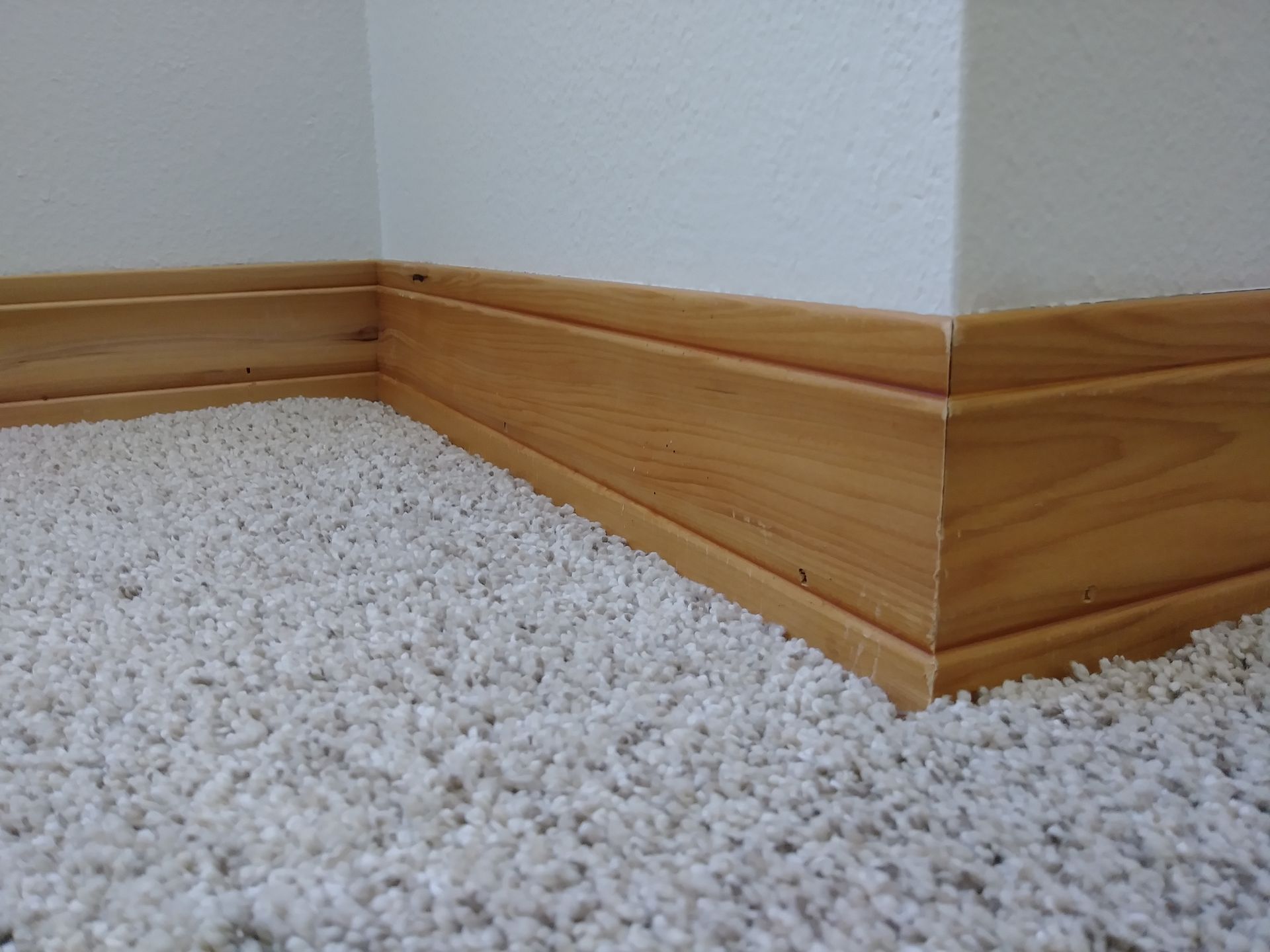 A room with a wooden floor and a white carpet.
