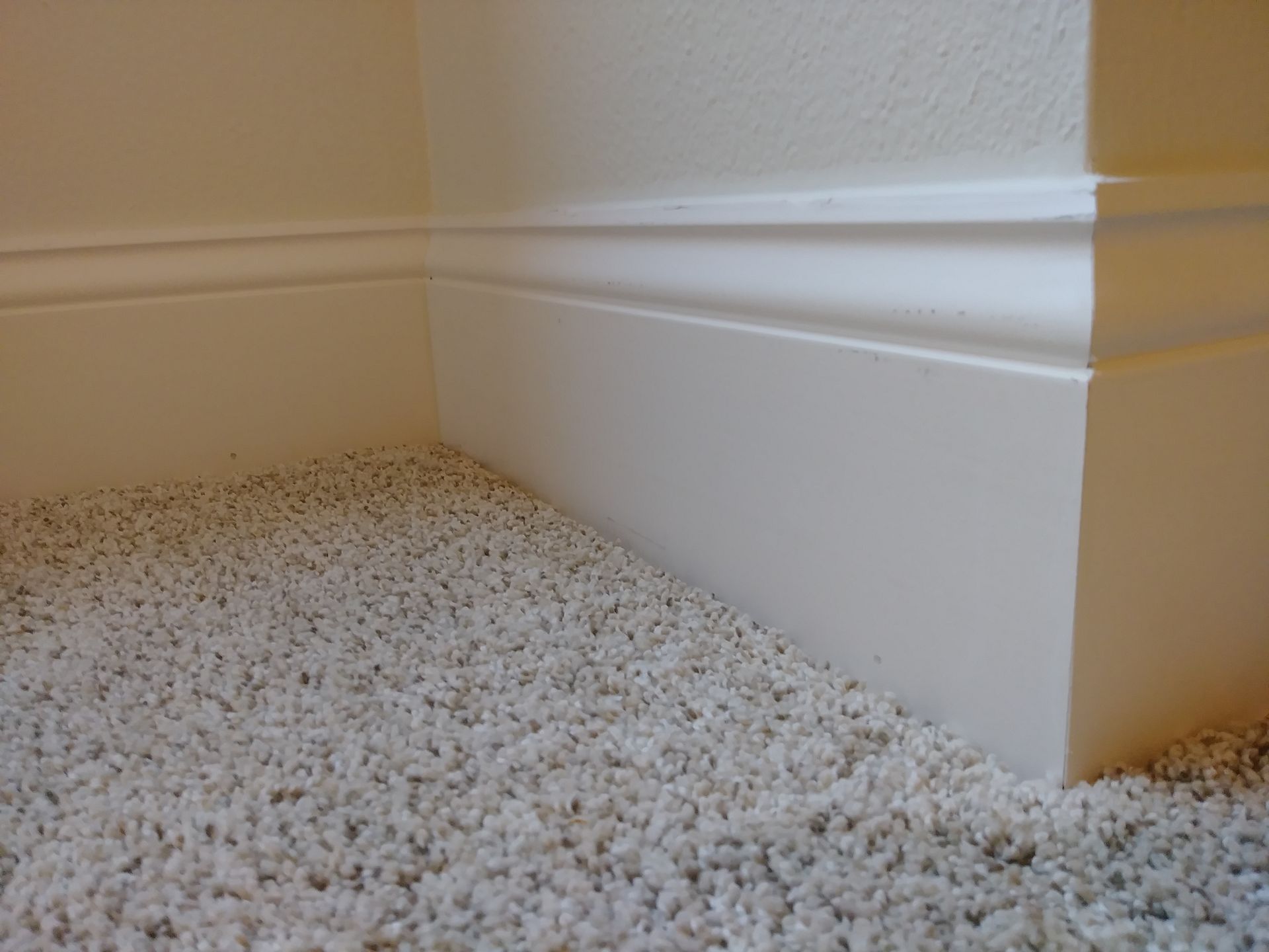 A corner of a room with white molding and white carpet.