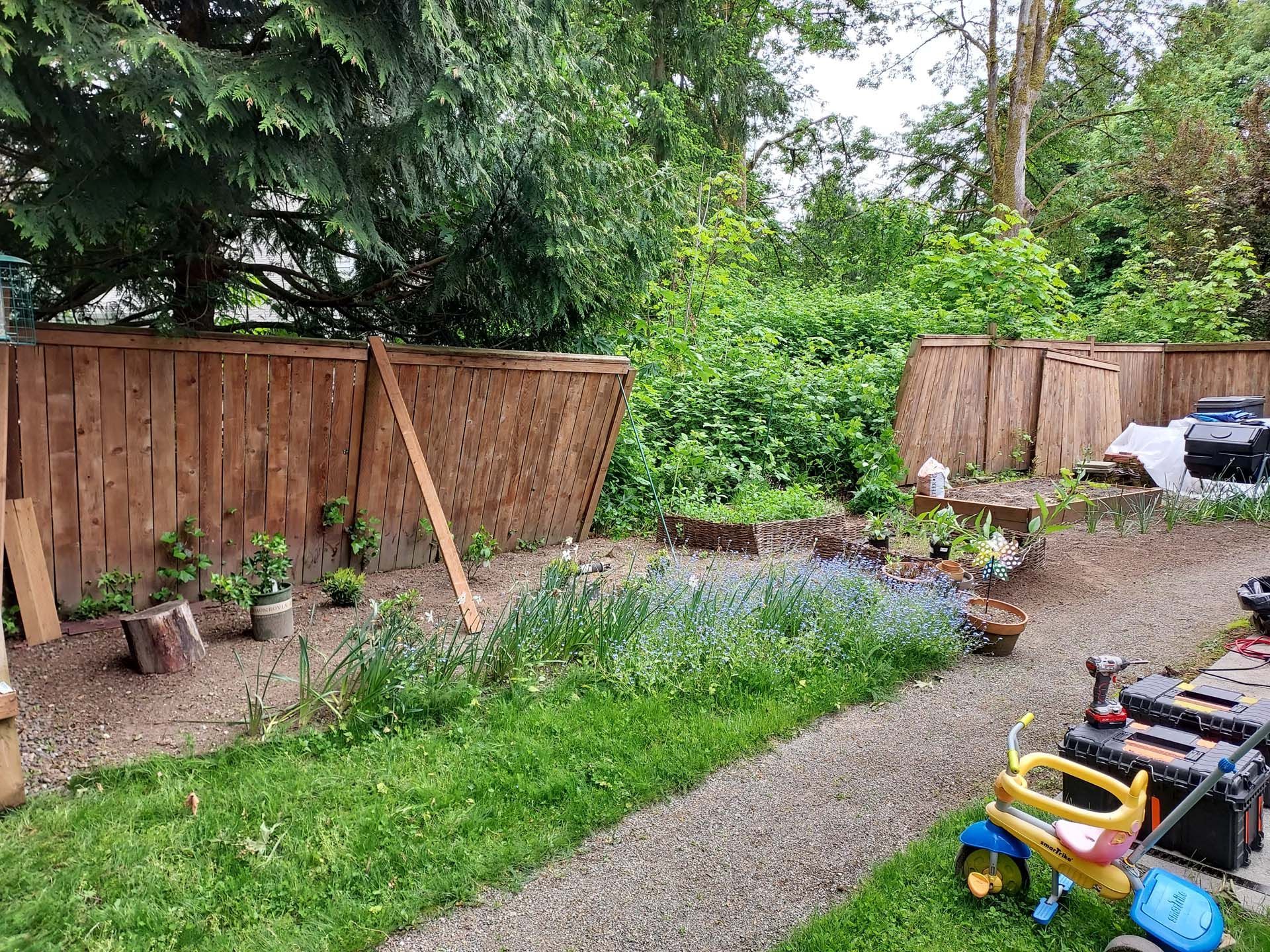 A wooden fence is being built in a backyard.
