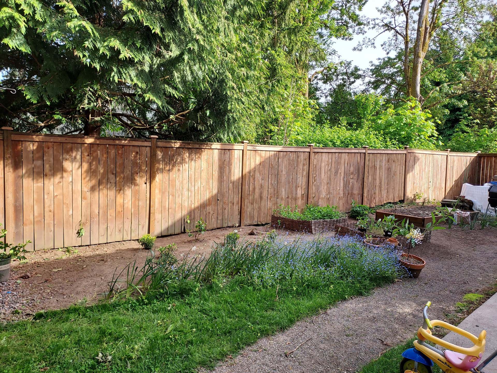 A wooden fence surrounds a backyard filled with lots of plants and trees.