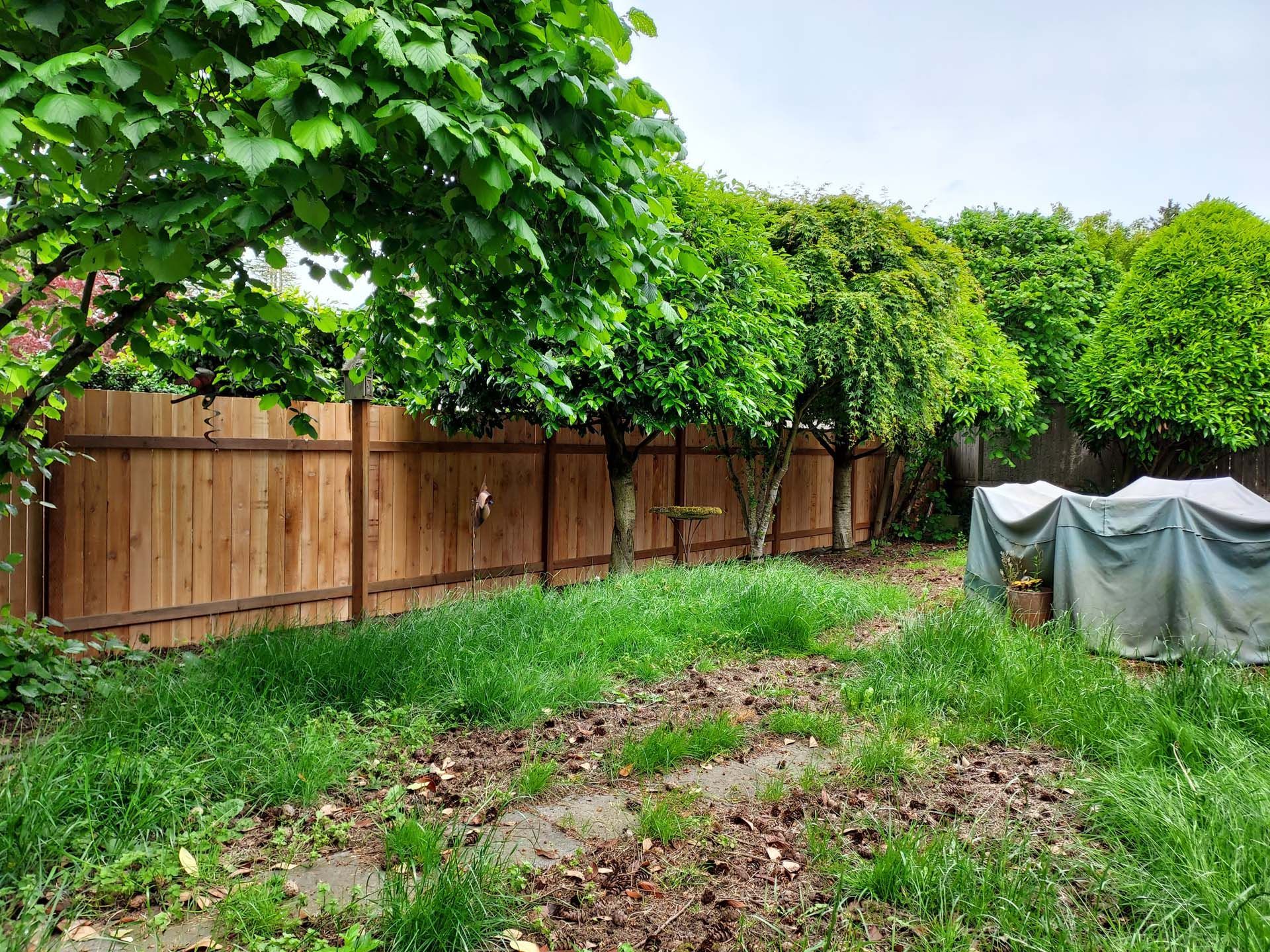 There is a wooden fence in the backyard surrounded by trees.
