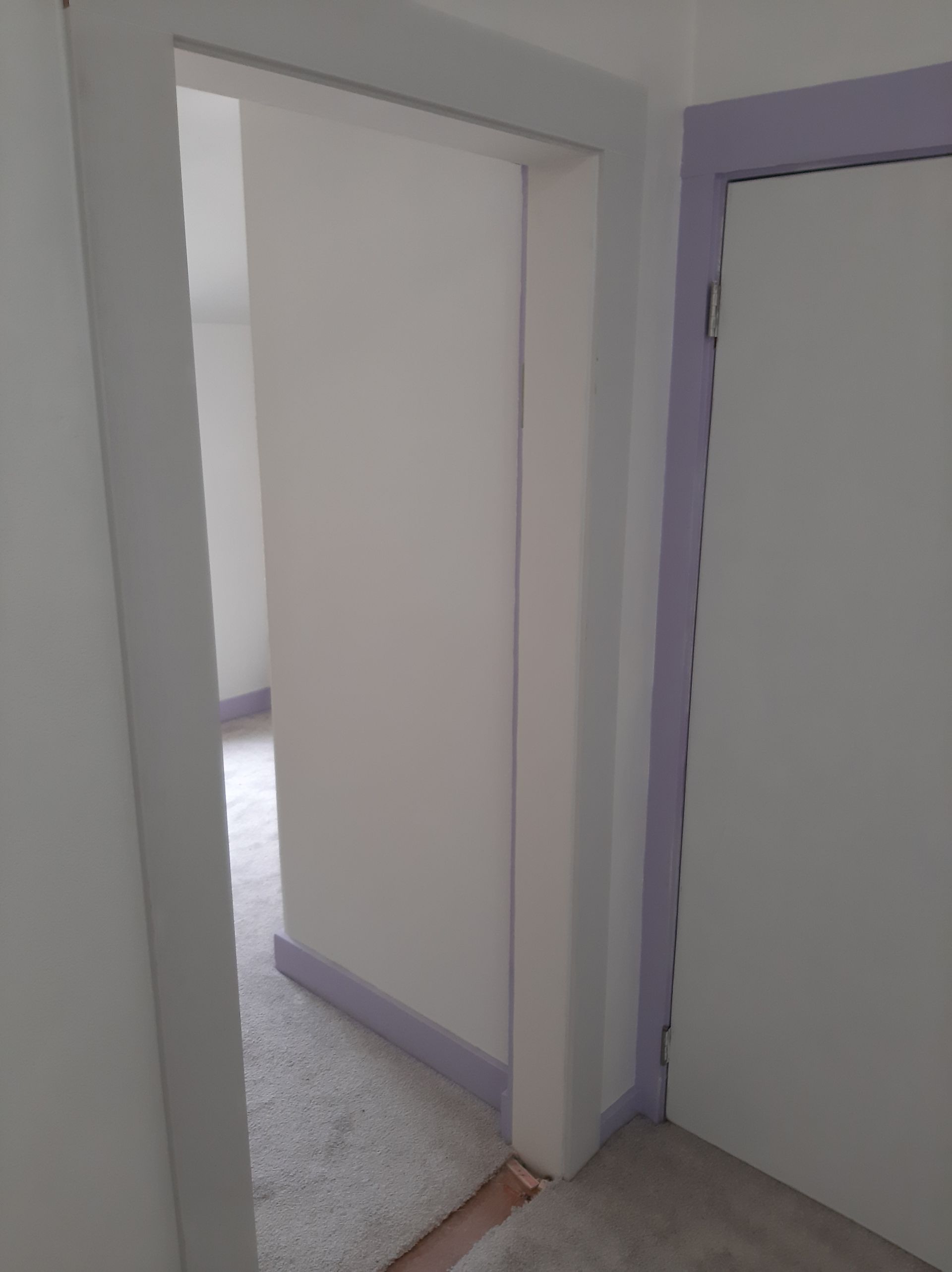 A hallway with a white door and a purple trim.