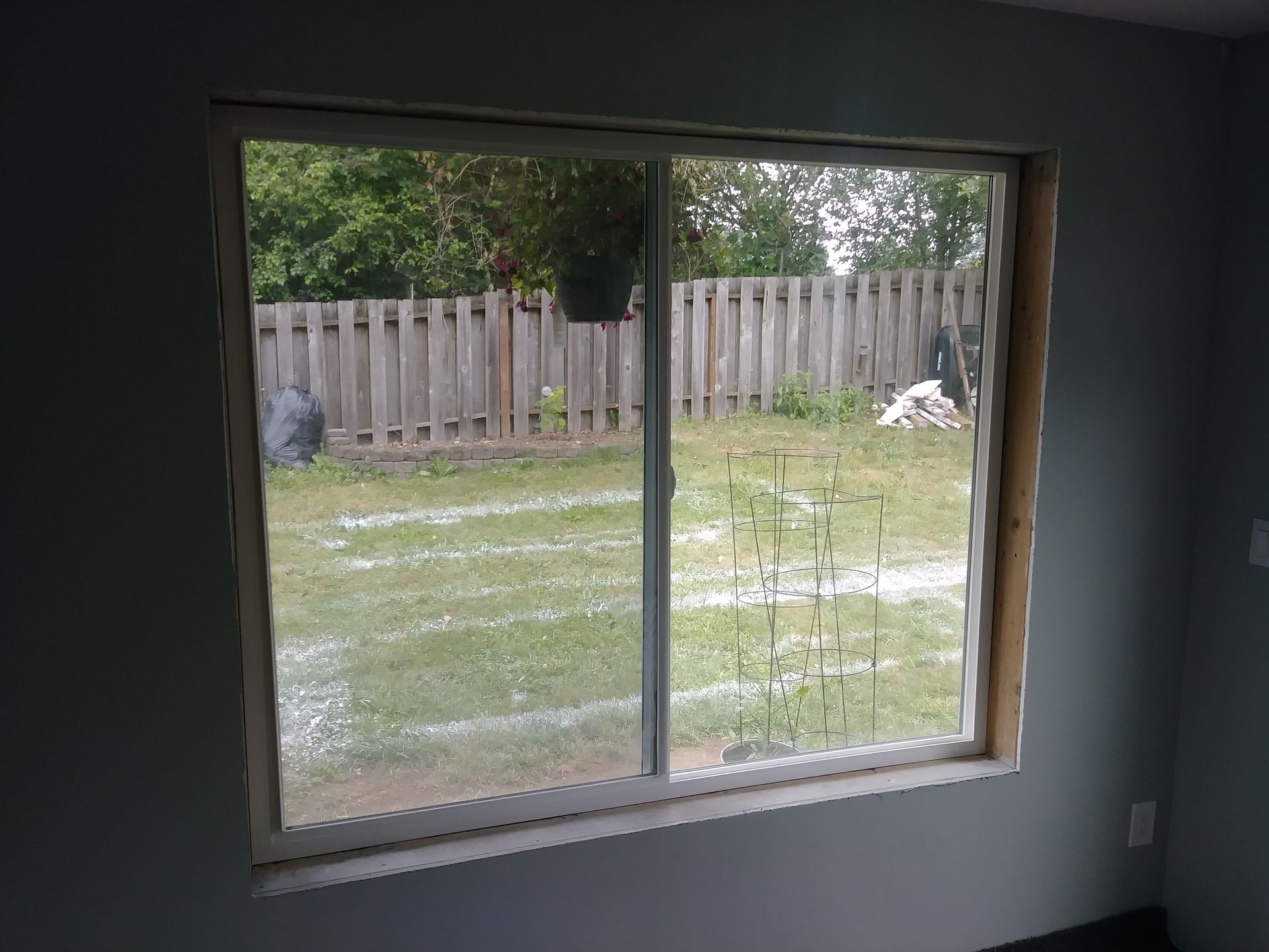 A window with a view of a backyard and a wooden fence.