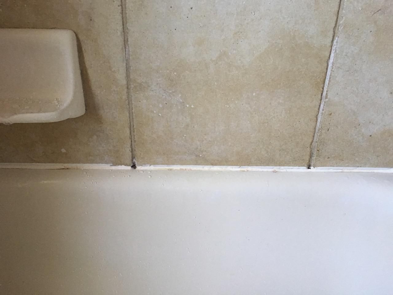 A white bathtub in a bathroom next to a soap dish.