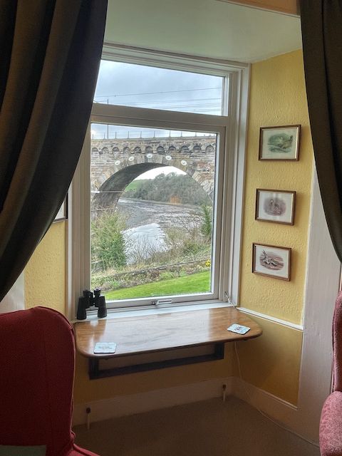 Superior King/Twin 2