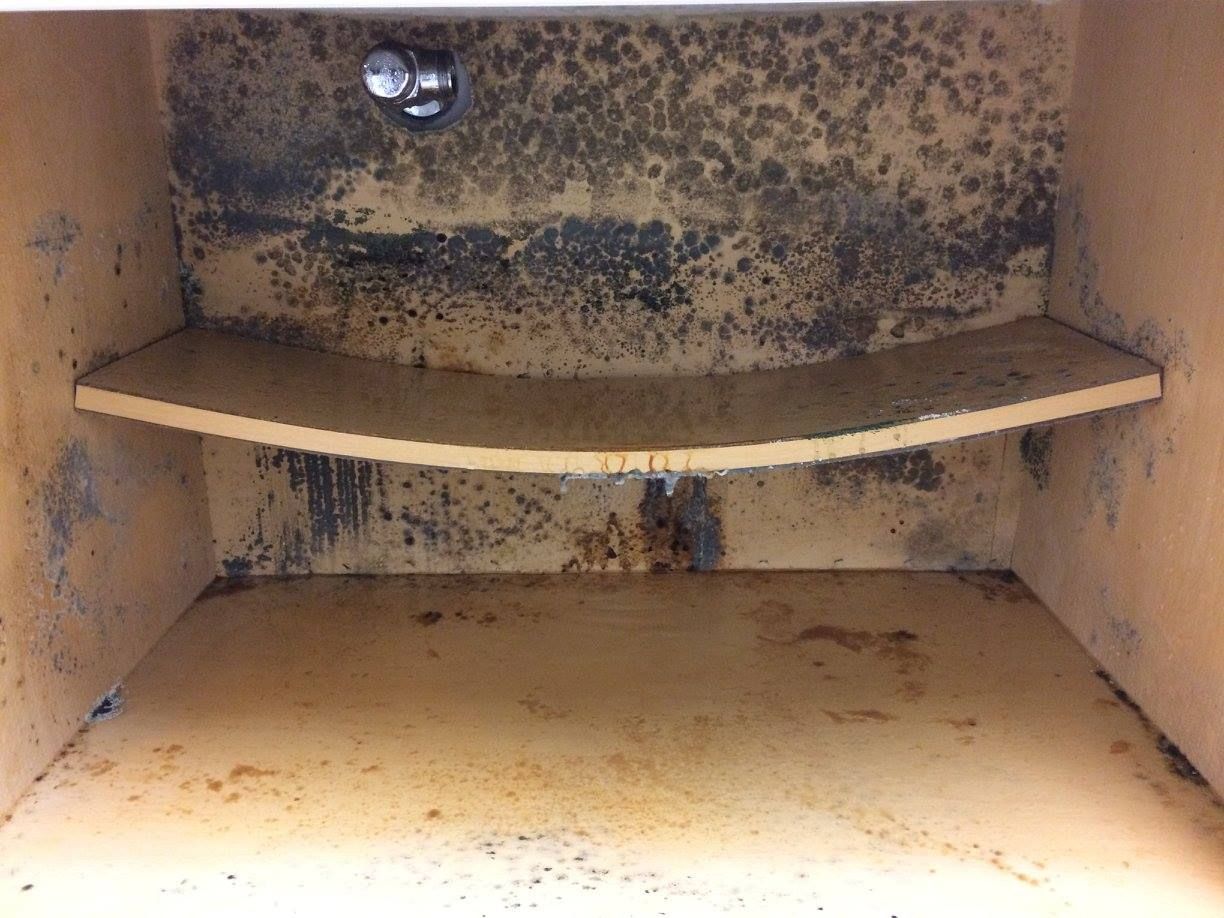 Inside of a safe showing significant mold growth, shelf, and a light fixture.