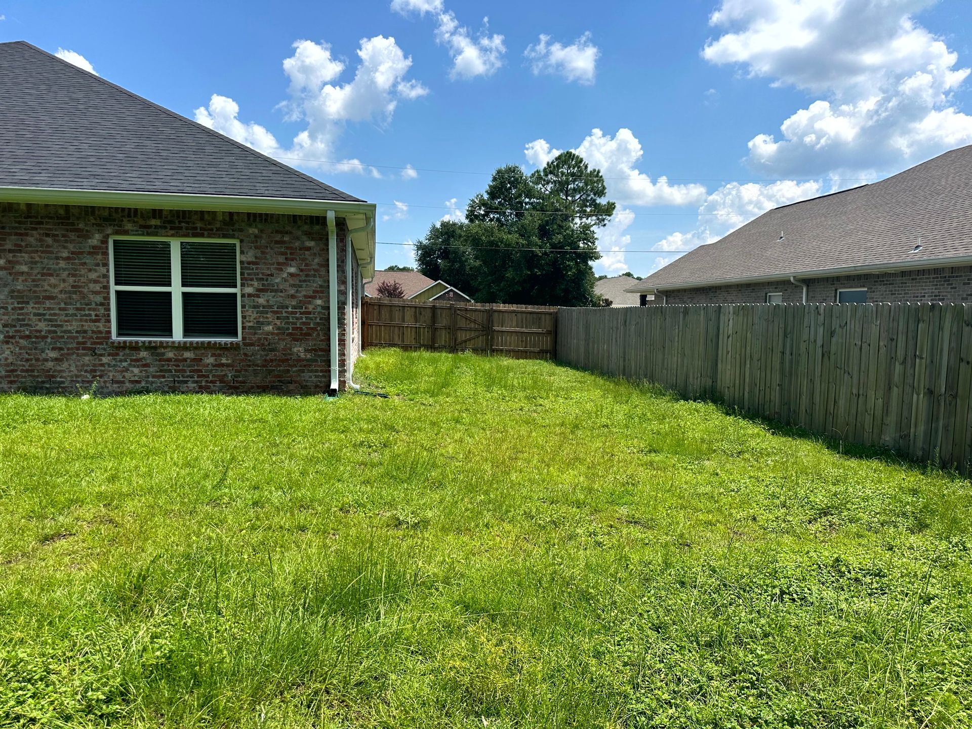 Green backyard with grass, wooden fence, brick house, and blue sky with clouds.