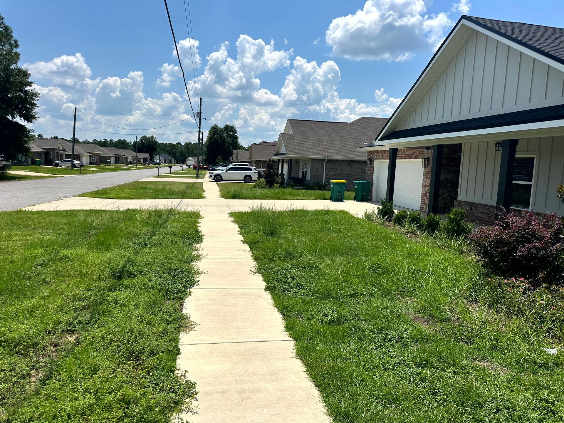 Sidewalk overgrown with weeds in front of houses on a sunny day.