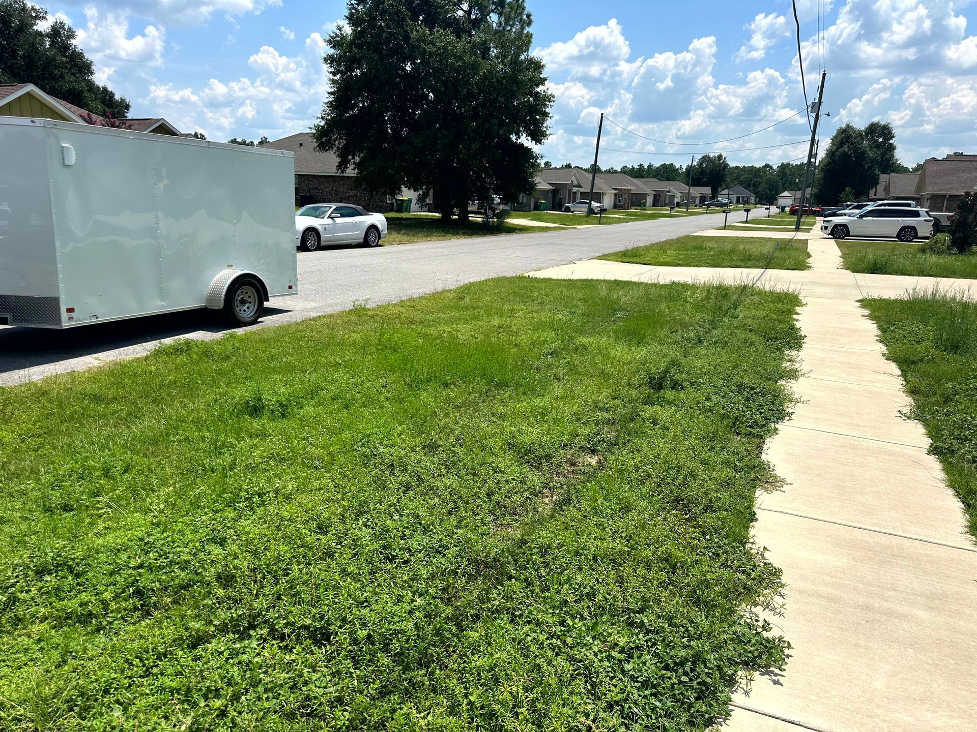 Grassy median in suburban street with parked trailer and cars on a sunny day.