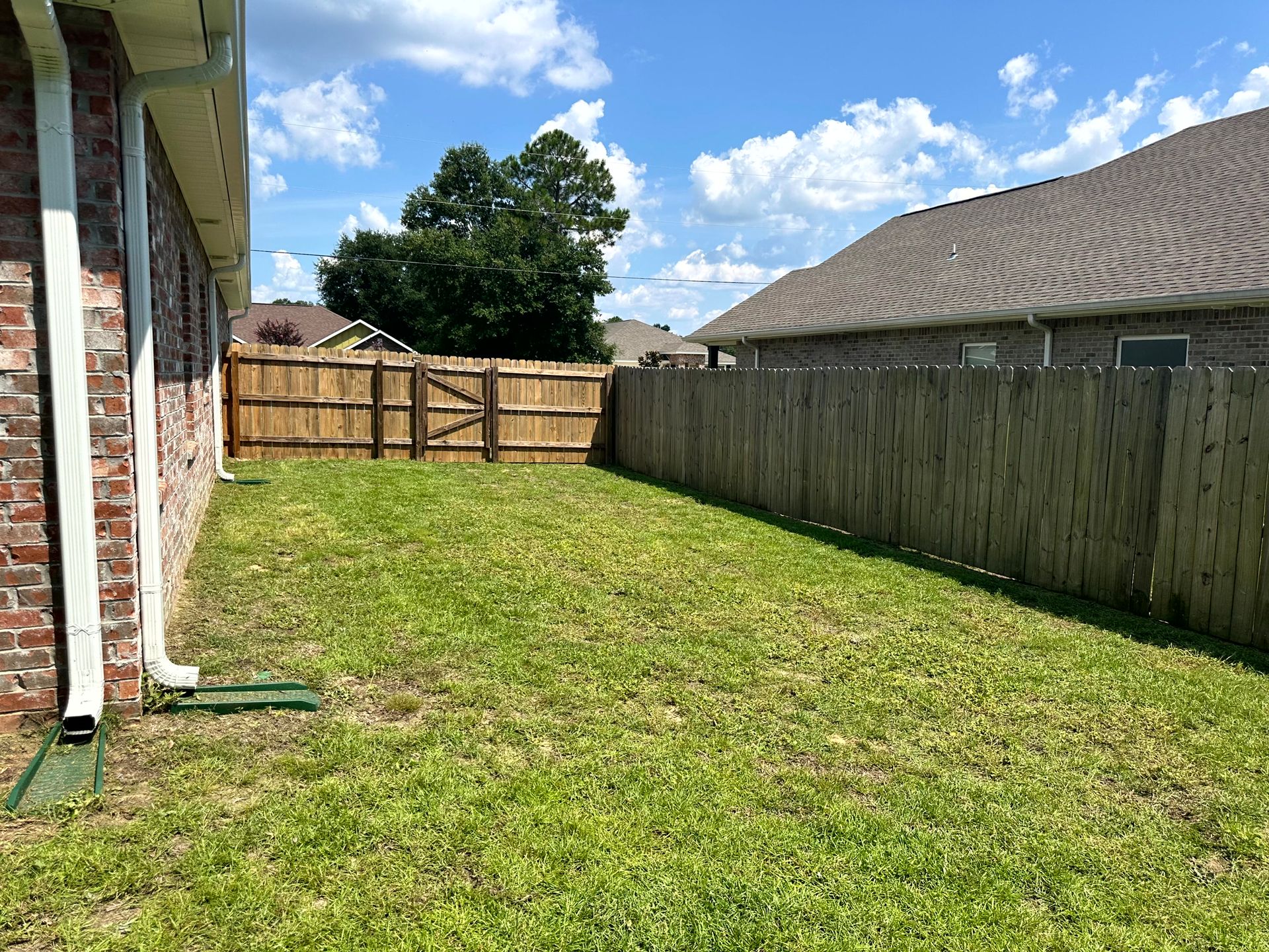A grassy backyard with a wooden fence, brick wall, and blue sky.