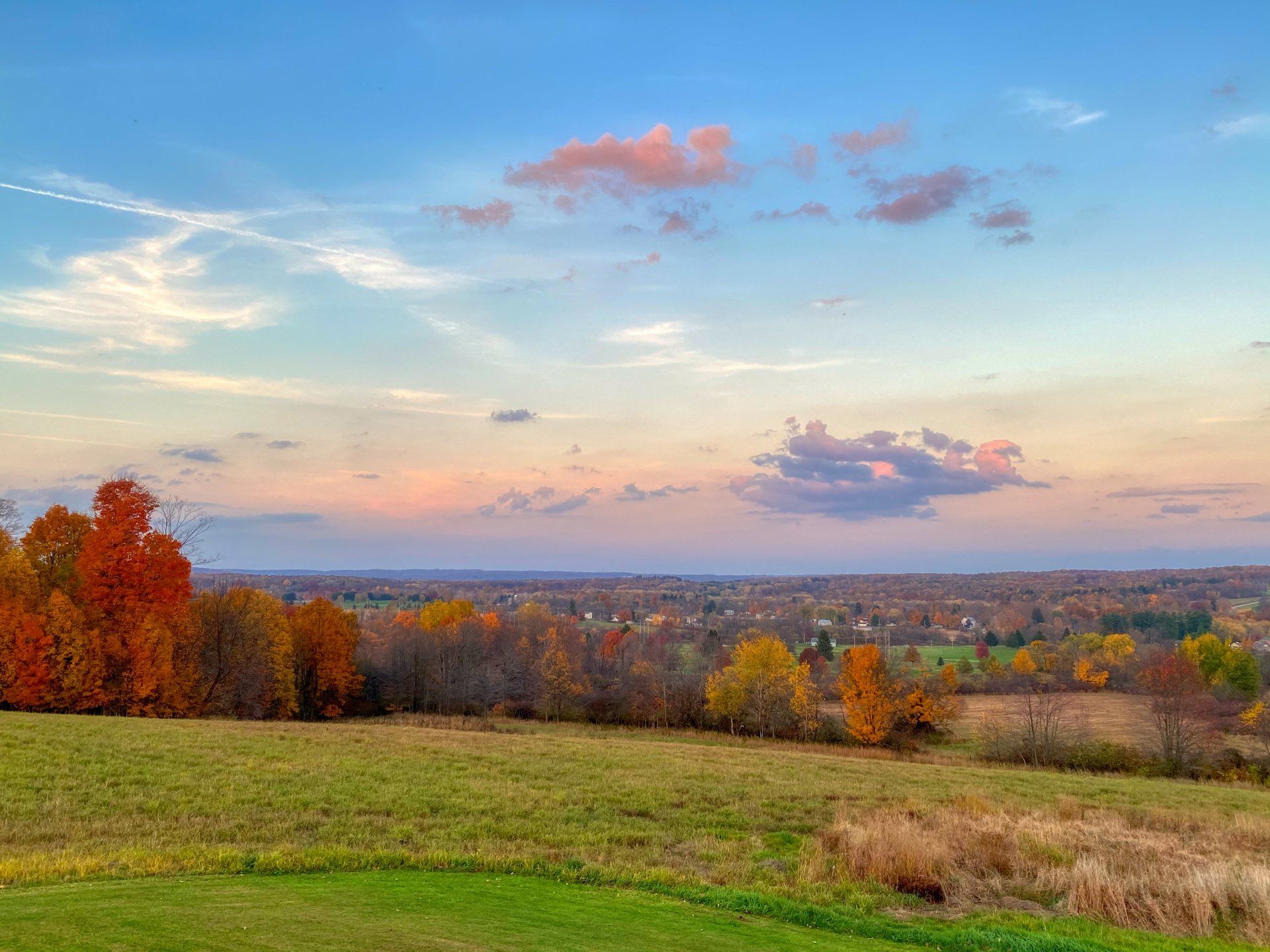 meadow landscape