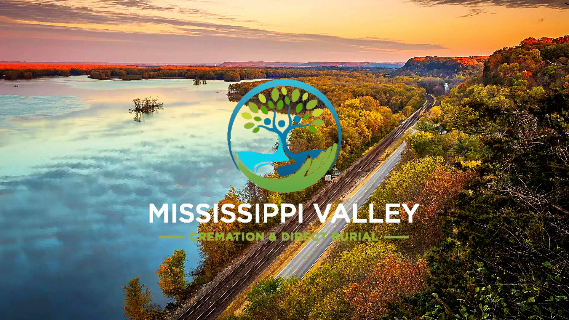 Immediate Steps to Take