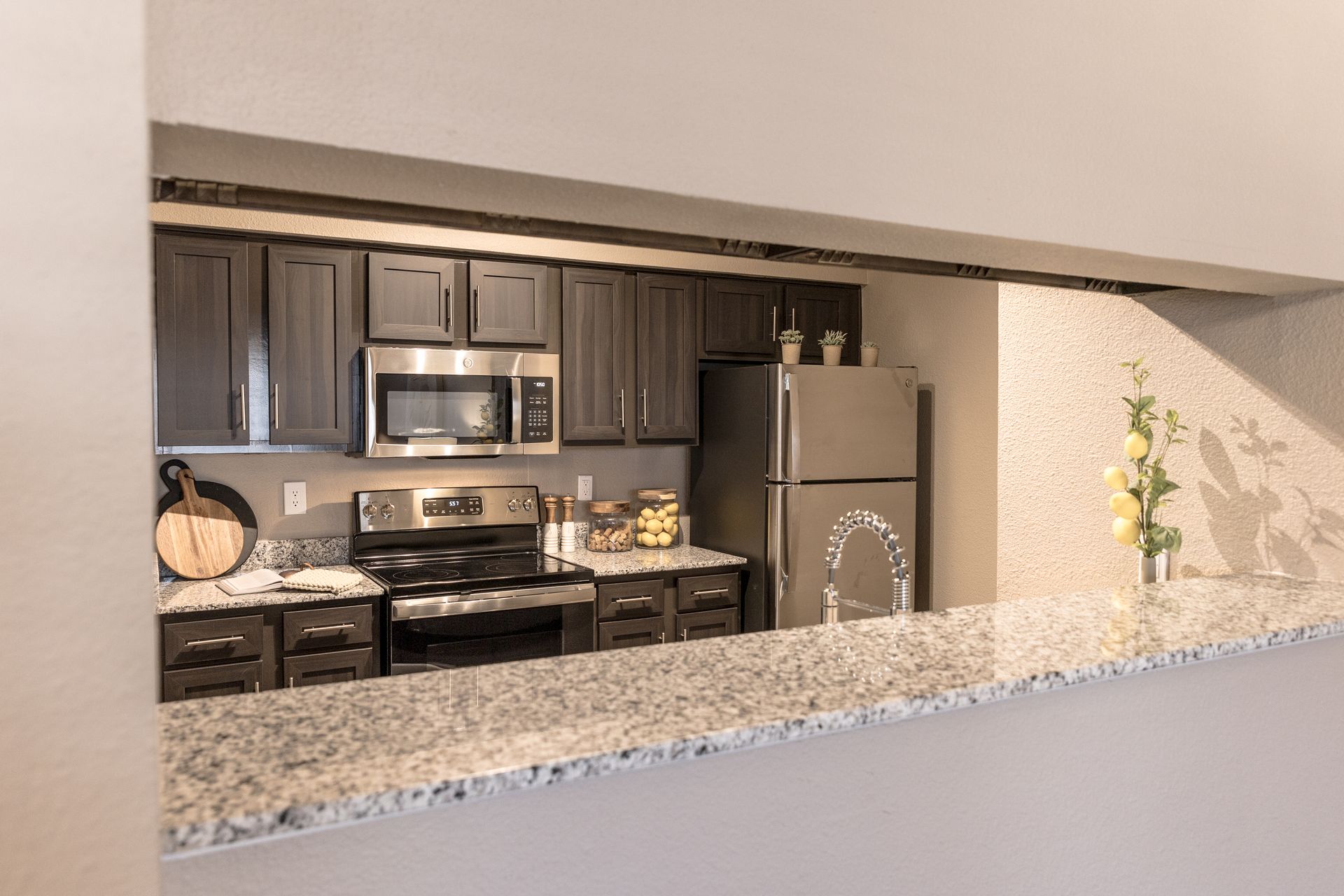Kitchen with dark cabinets, stainless steel appliances, and a granite countertop.