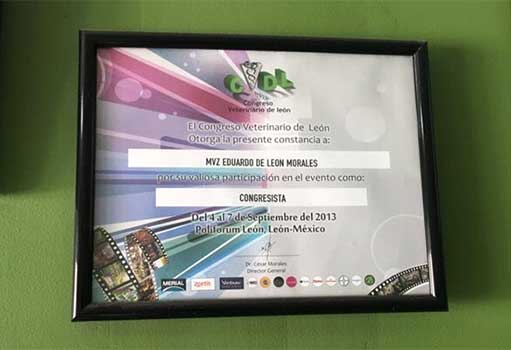 EMEVET – TOMA DE FRECUENCIA CARDÍACA