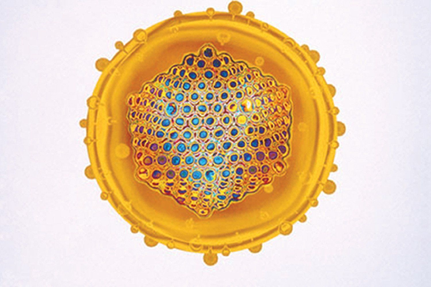 Hepatitis — Orlando, FL — Florida Pure Water Solutions