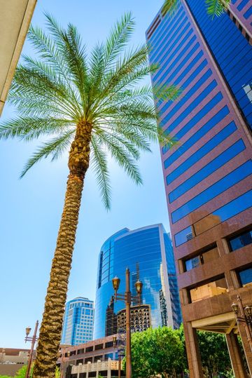 downtown Phoenix looking up at skyscrapers and palm trees