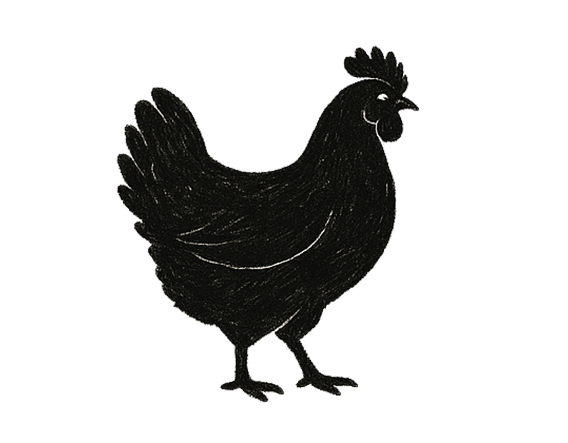 Schwarze Silhouette eines Huhns mit markantem Kamm und Schwanzfedern, Blickrichtung rechts.