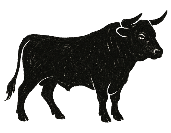 Schwarzer Stier mit gebogenen Hörnern, Blickrichtung rechts.