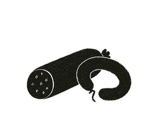 Zwei schwarze Blutwürste, eine davon in Scheiben geschnitten, auf weißem Hintergrund.