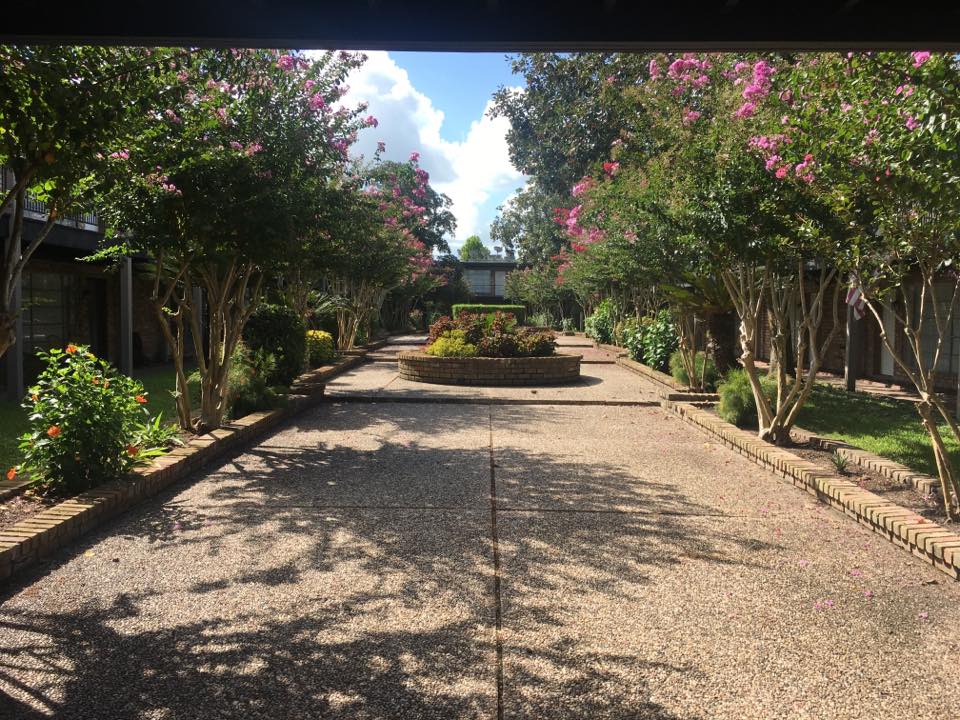 Courtyard Bloom