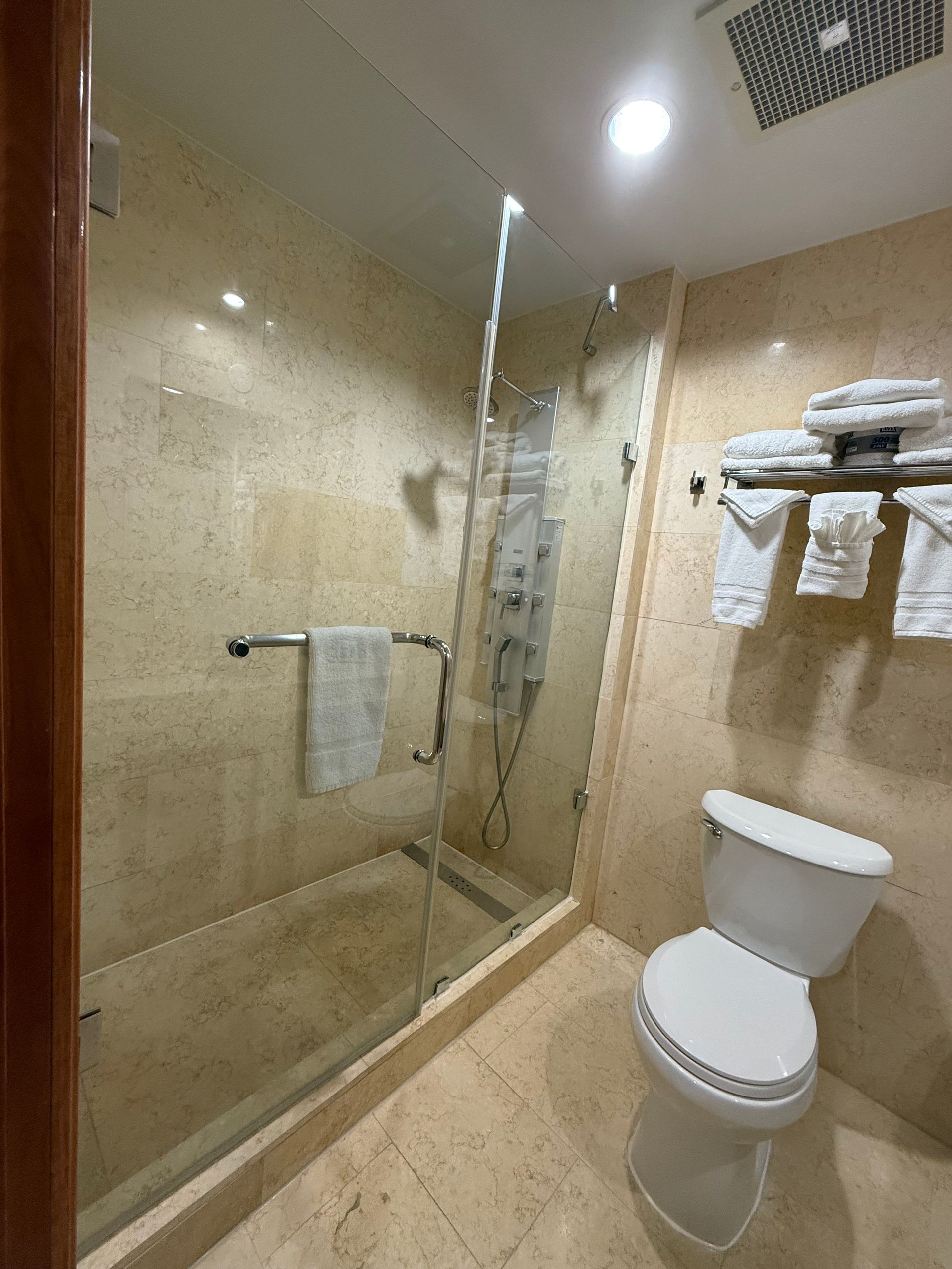 Bathroom with glass shower, toilet, and towel rack. Beige tile walls. Bright overhead light.