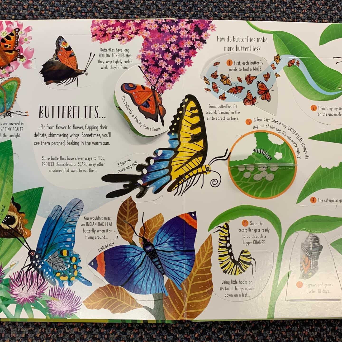 Open Book Illustration About Butterflies — Decadence Gifts & Homewares in Emerald, QLD