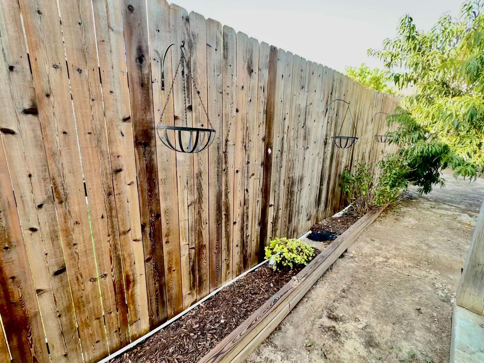 A wooden fence with planters hanging from it in a backyard.