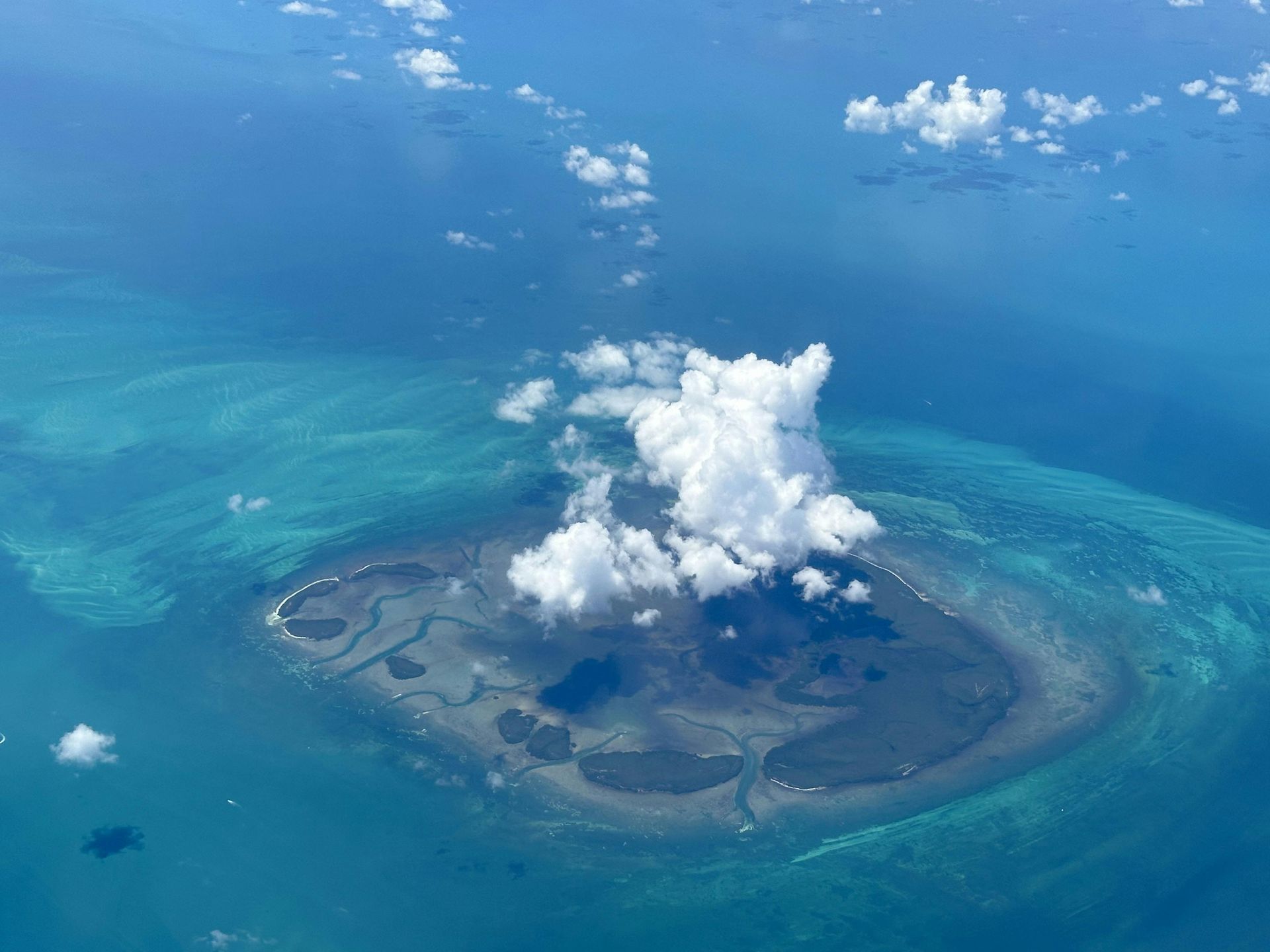 A large swimming pool surrounded by palm trees and umbrellas