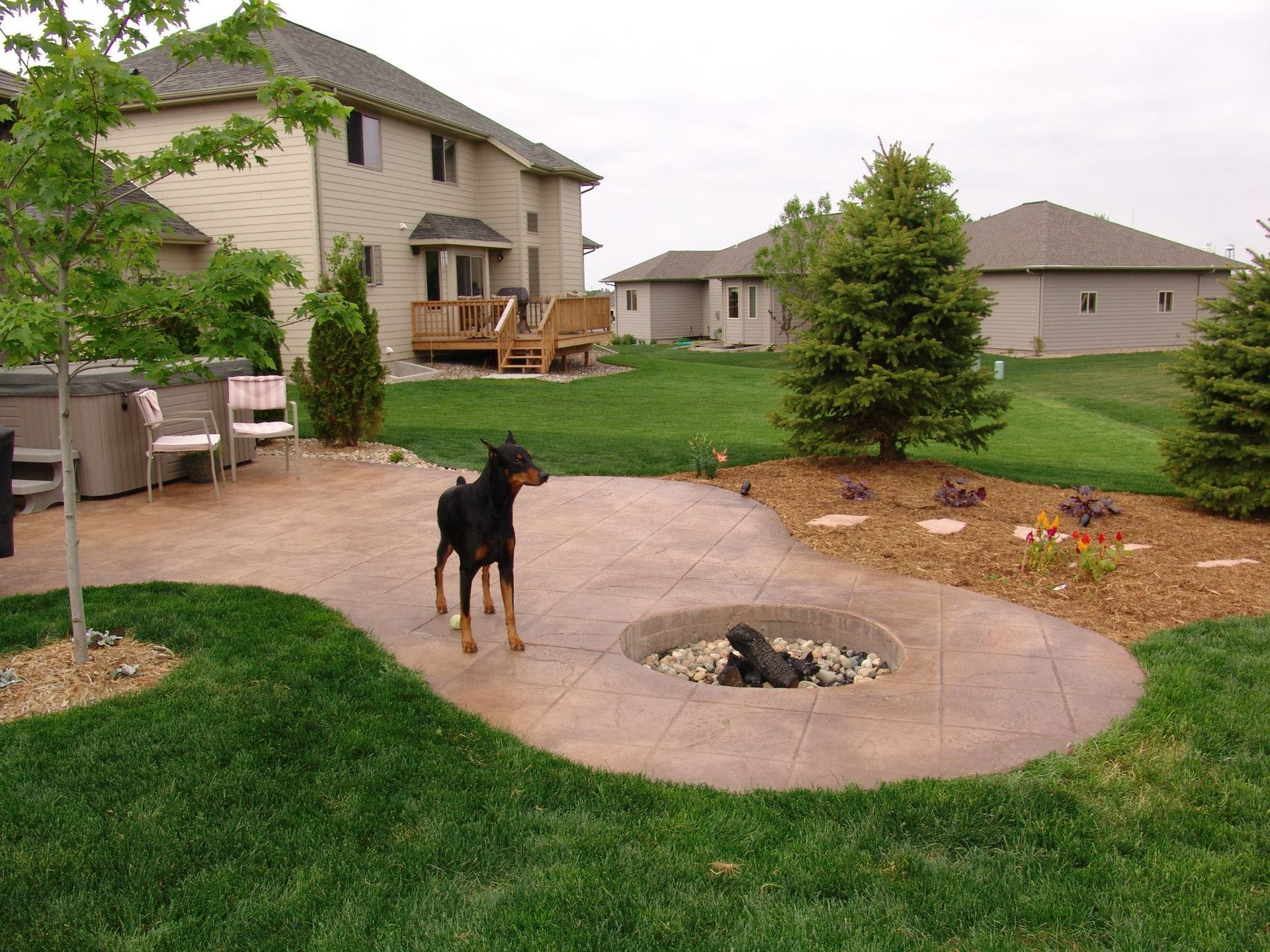 A dog standing next to a fire pit in a backyard