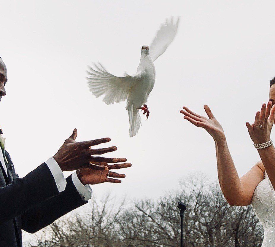 Bride and groom with white doves in their hands
