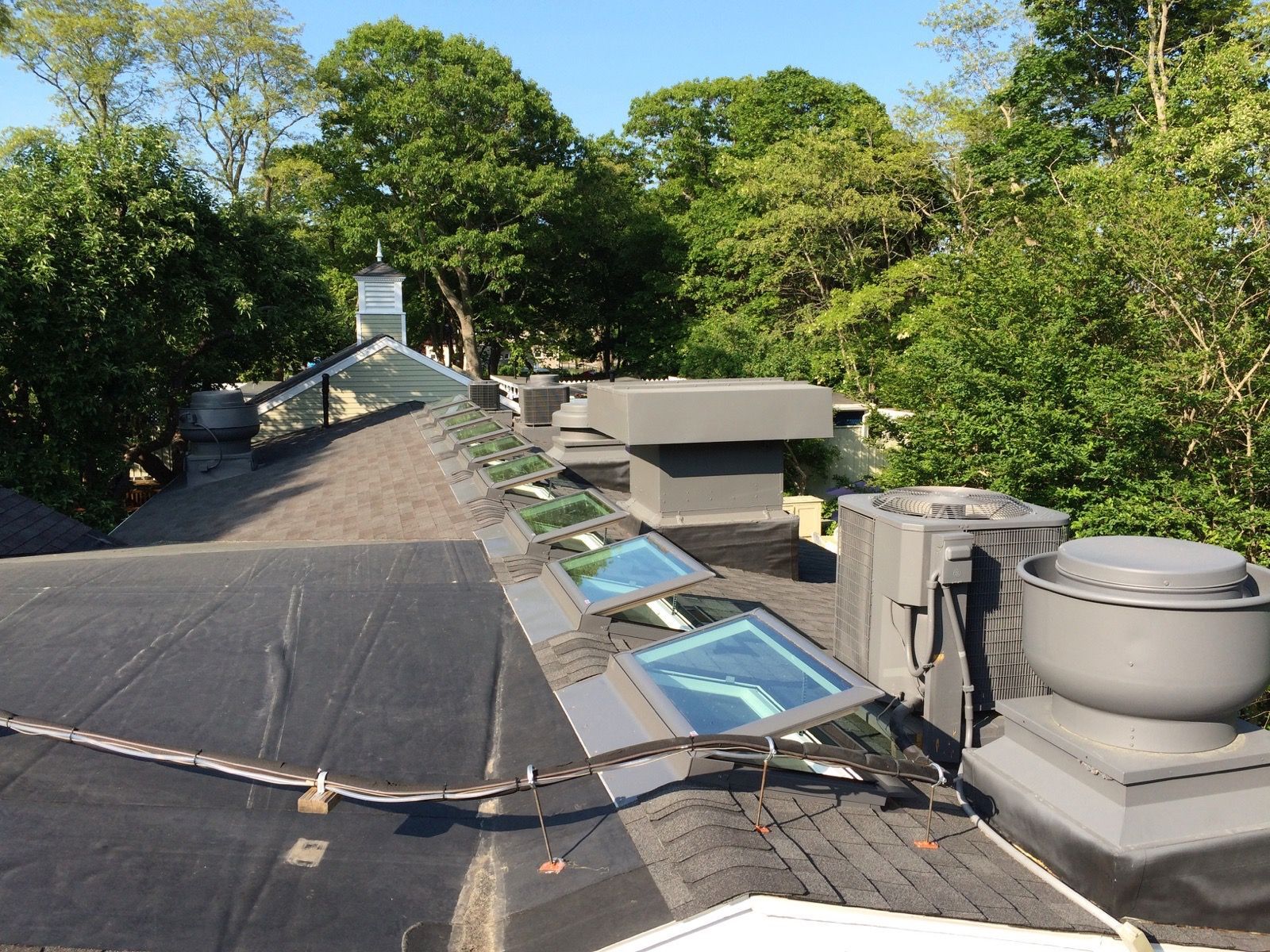 Rooftop with skylights, vents, and surrounding green trees under a blue sky.