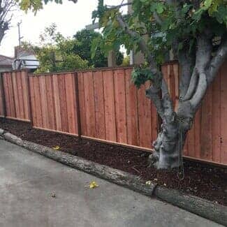 Fence Beside the Tree — Fencing in San Leandro, CA