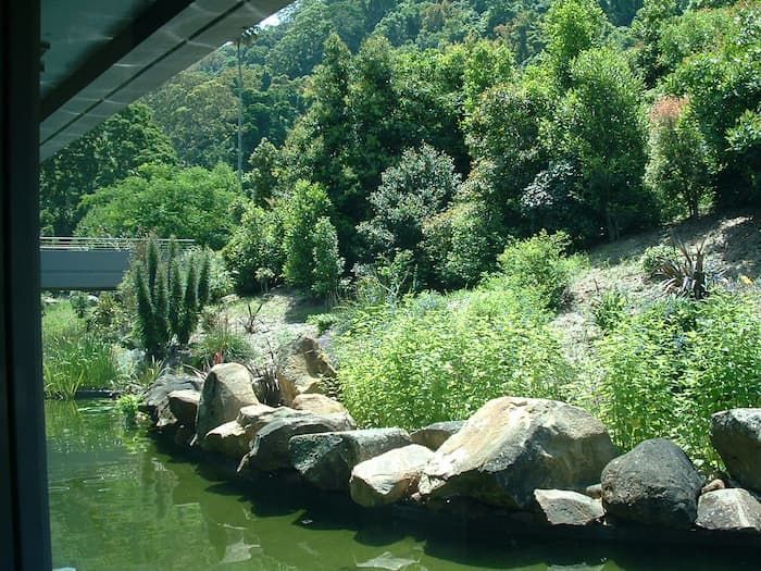 A Pond Surrounded By Rocks And Trees With A Bridge In The Background — South Coast Glass In South Nowra, NSW