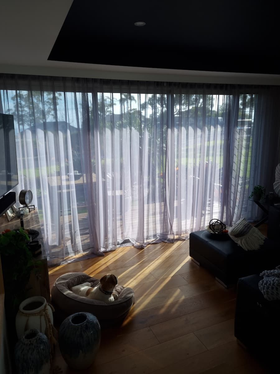 A Living Room With A Dog Sitting In A Dog Bed In Front Of A Large Window — South Coast Glass In South Nowra, NSW