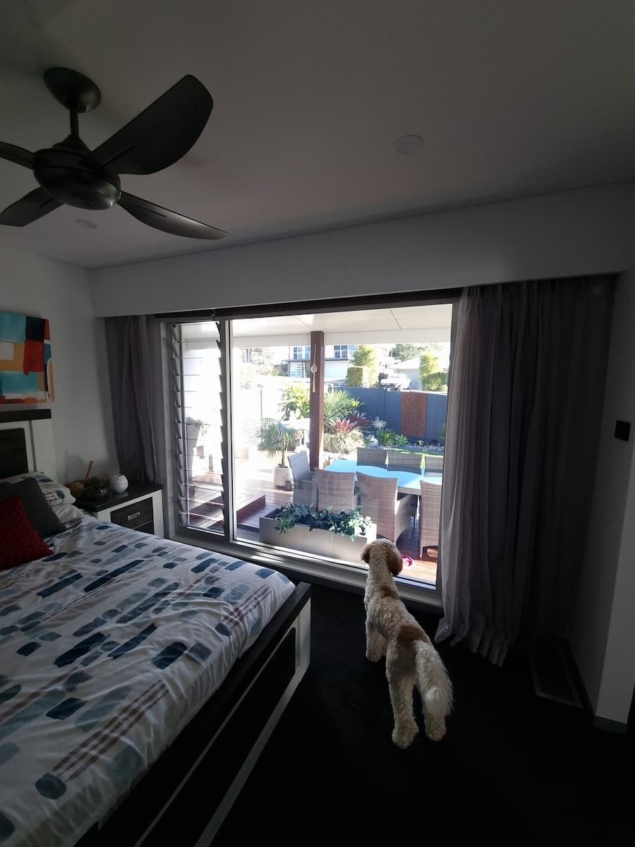 A Bedroom With A Ceiling Fan And A Dog — South Coast Glass In South Nowra, NSW