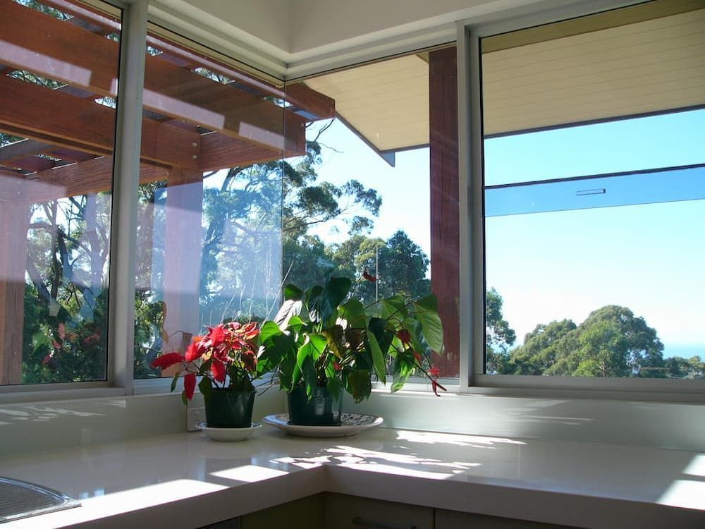 Two Potted Plants Sit On A Counter In Front Of A Window — South Coast Glass In South Nowra, NSW
