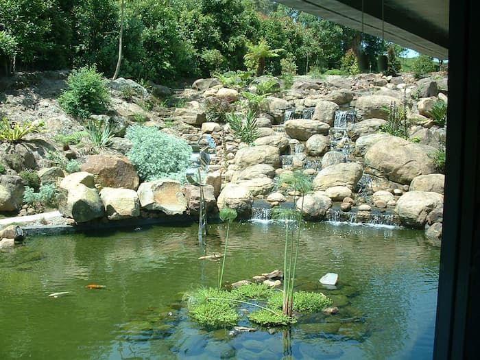 A Pond Surrounded By Rocks And Plants With A Waterfall In The Background — South Coast Glass In South Nowra, NSW