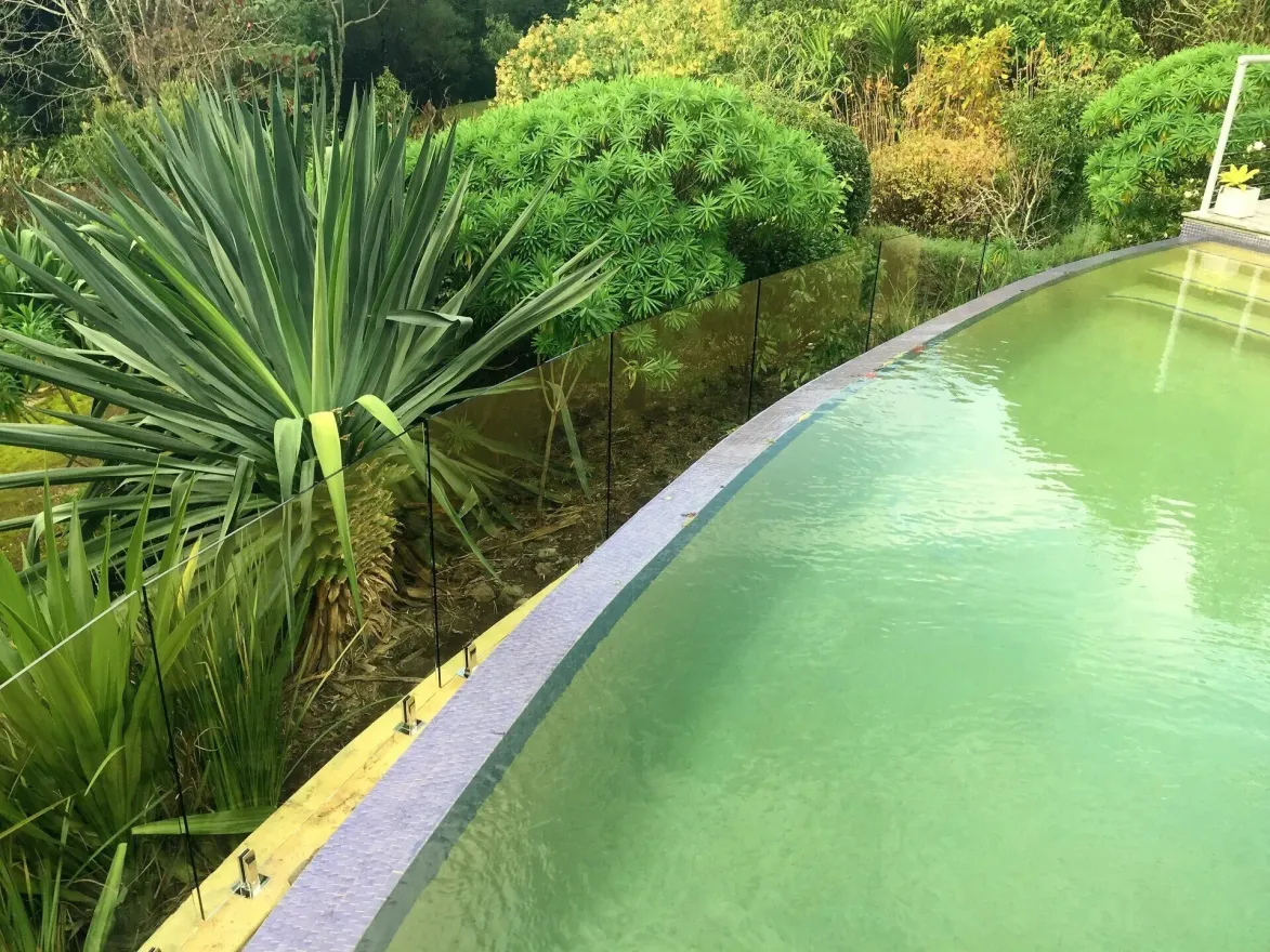 A green, algae-filled pool curves near lush greenery and a spiky yucca plant — South Coast Glass In South Nowra, NSW