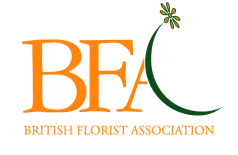bfa logo