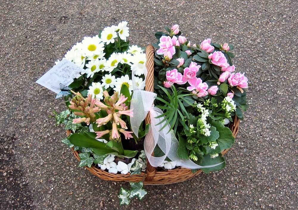 Elisabeth Bemment Floral Design  - Bouquets & Baskets