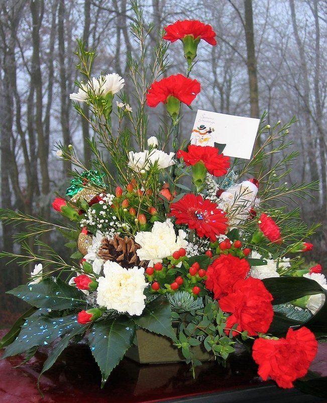 Elisabeth Bemment Floral Design  - Christmas  Flowers
