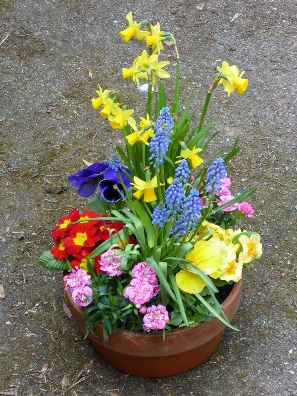 Elisabeth Bemment Floral Design  - Arrangements